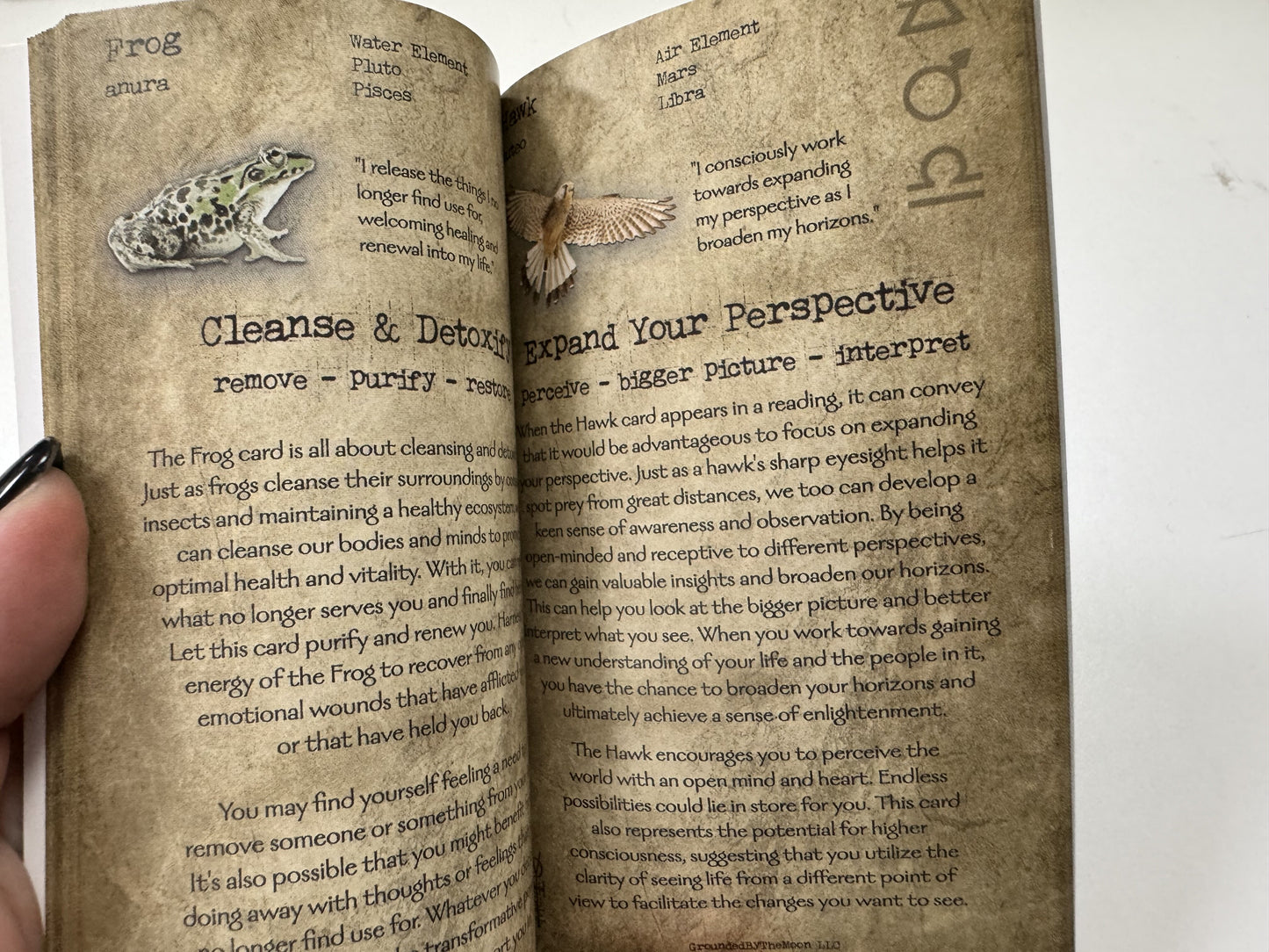 Grimoire Oracle Guidebook *Replacement for Kickstarter*