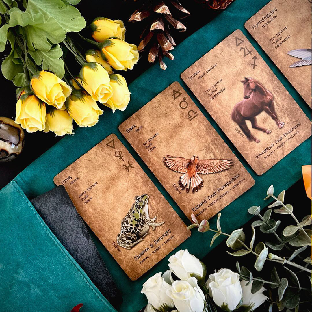 Witches Grimoire Oracle Kickstarter BoxSet *Limited Edition*