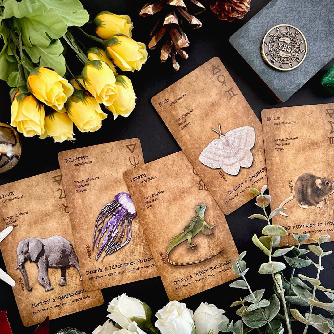 Witches Grimoire Oracle Vol 3 : Fauna & Familiar Magic