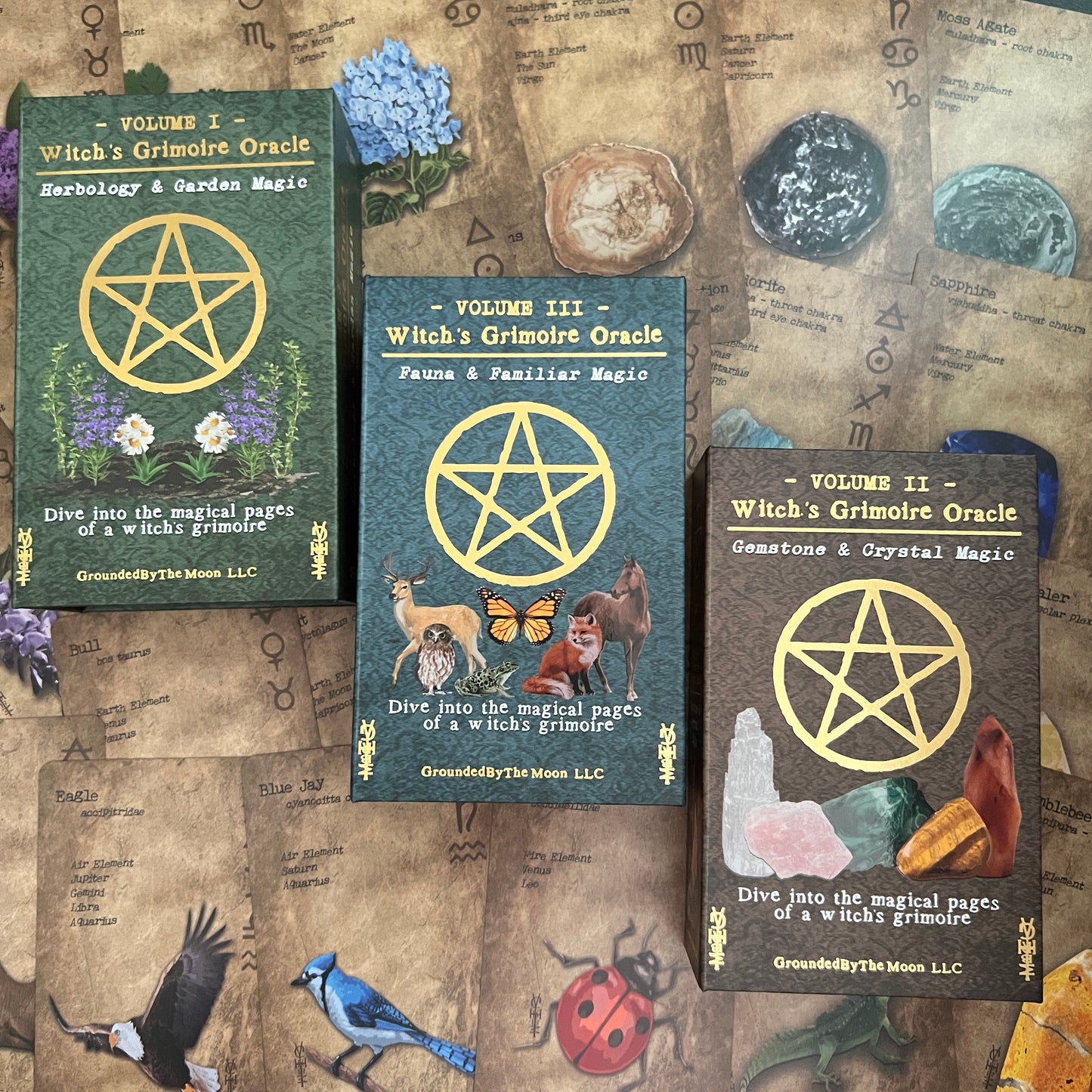 Witches Grimoire Oracle Kickstarter BoxSet *Limited Edition*