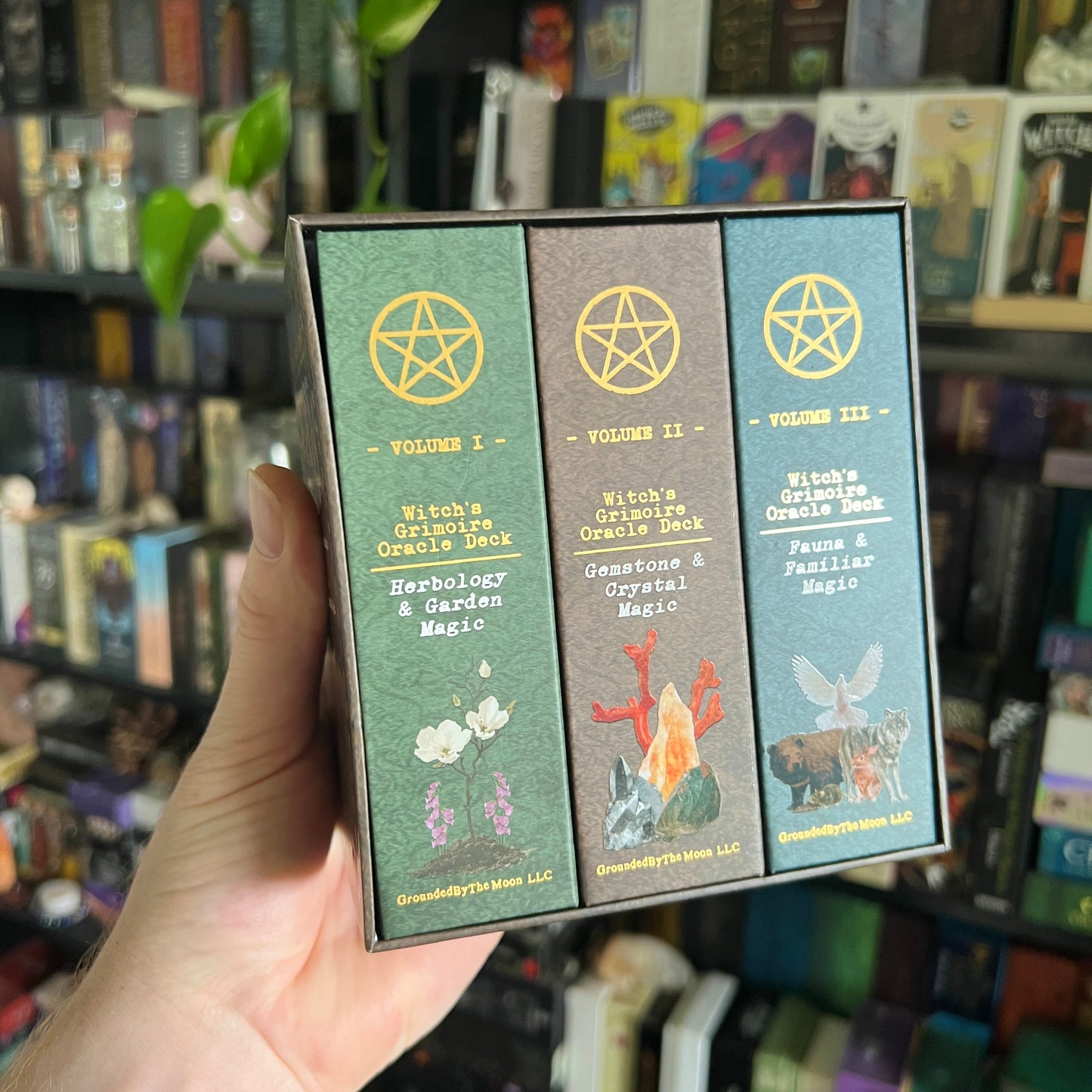 Witches Grimoire Oracle Kickstarter BoxSet *Limited Edition*