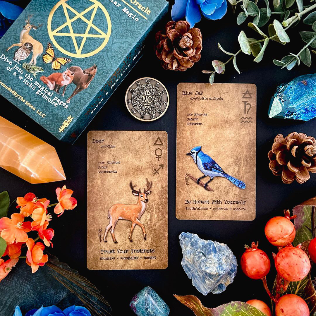 Witches Grimoire Oracle Kickstarter BoxSet *Limited Edition*