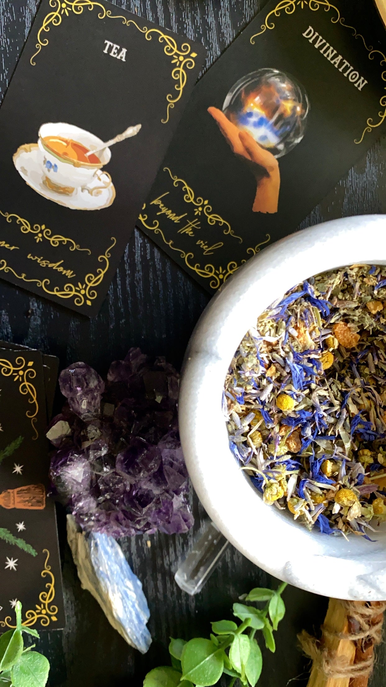 Tarot Tea : Illuminated Insight