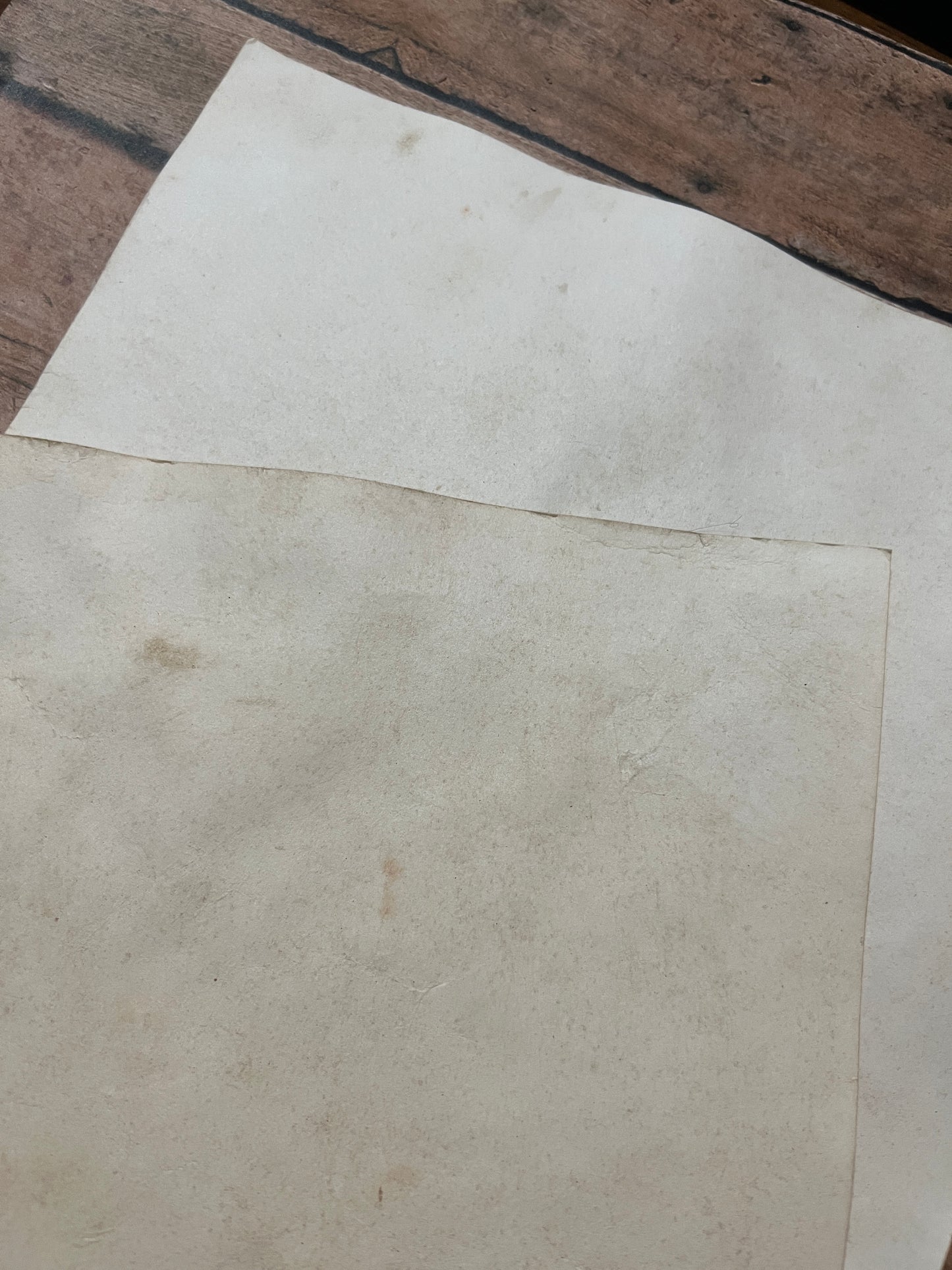 Magically Infused Parchment Paper